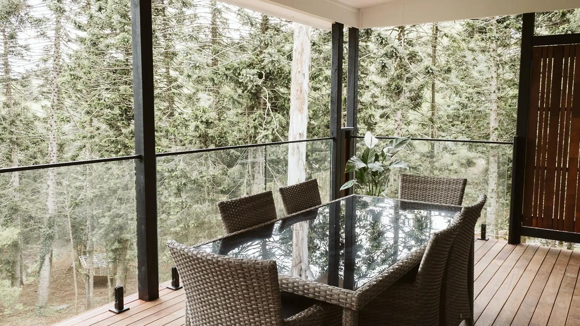 Private 3-Bedroom House Nestled High Amongst The Trees Maleny