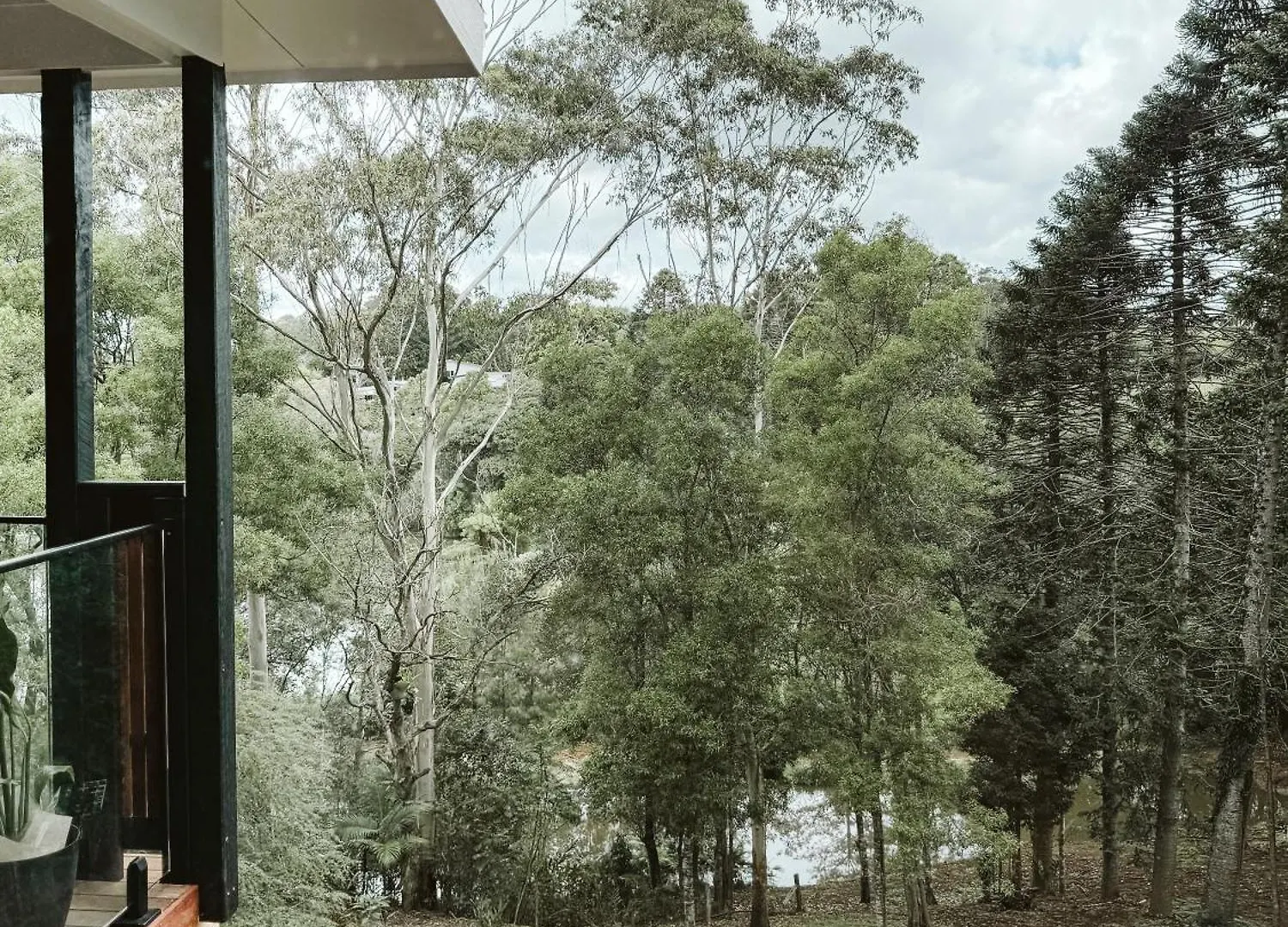 Private 3-Bedroom House Nestled High Amongst The Trees Maleny