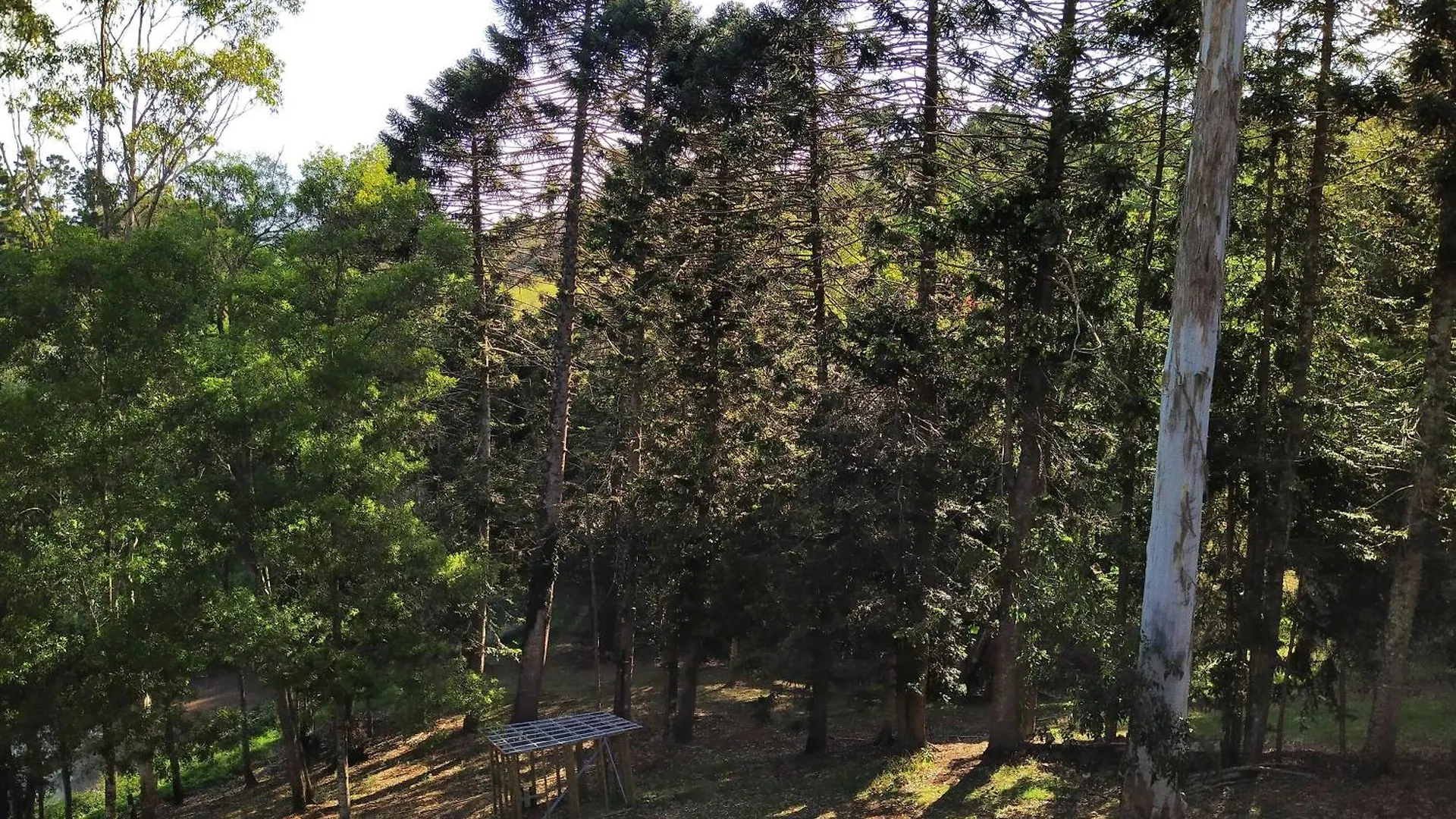 Private 3-Bedroom House Nestled High Amongst The Trees Maleny 0*,  Australia