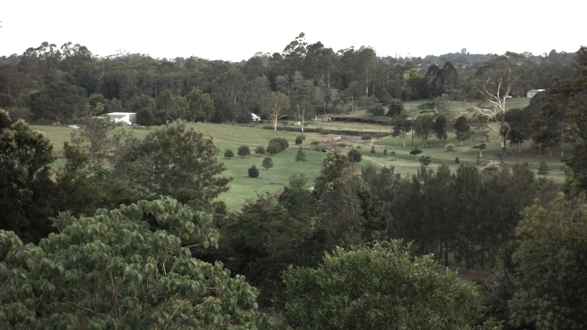 Private 3-Bedroom House Nestled High Amongst The Trees Maleny Holiday home
