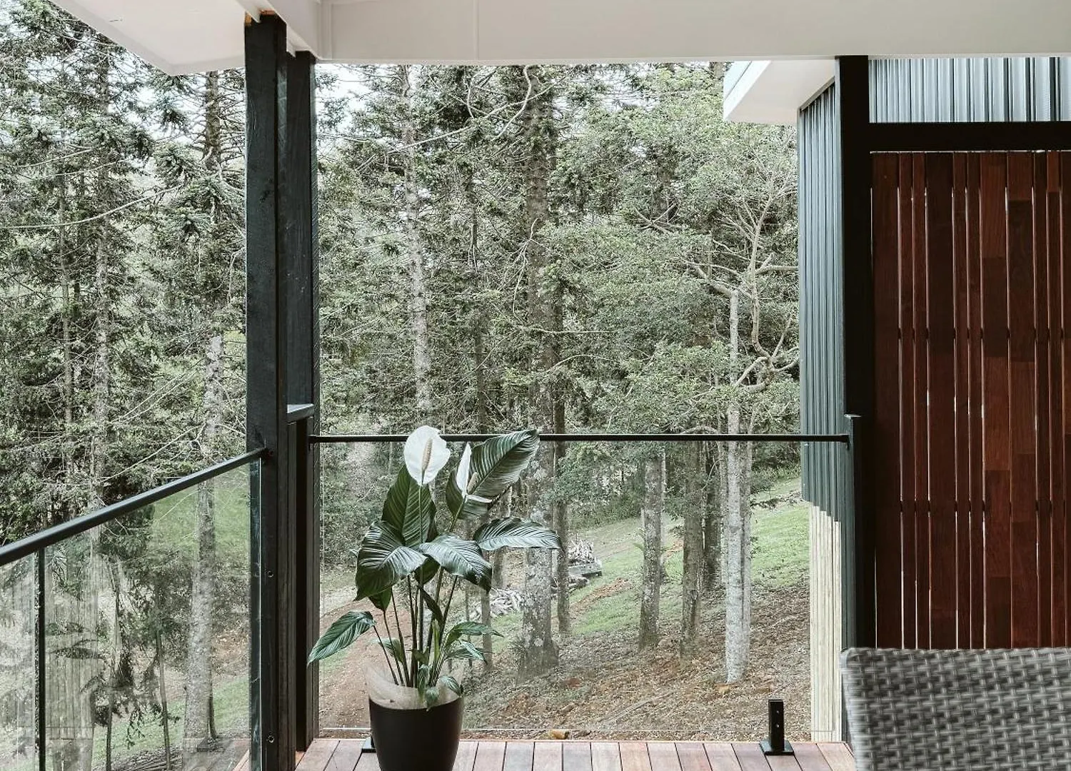 Holiday home Private 3-Bedroom House Nestled High Amongst The Trees Maleny