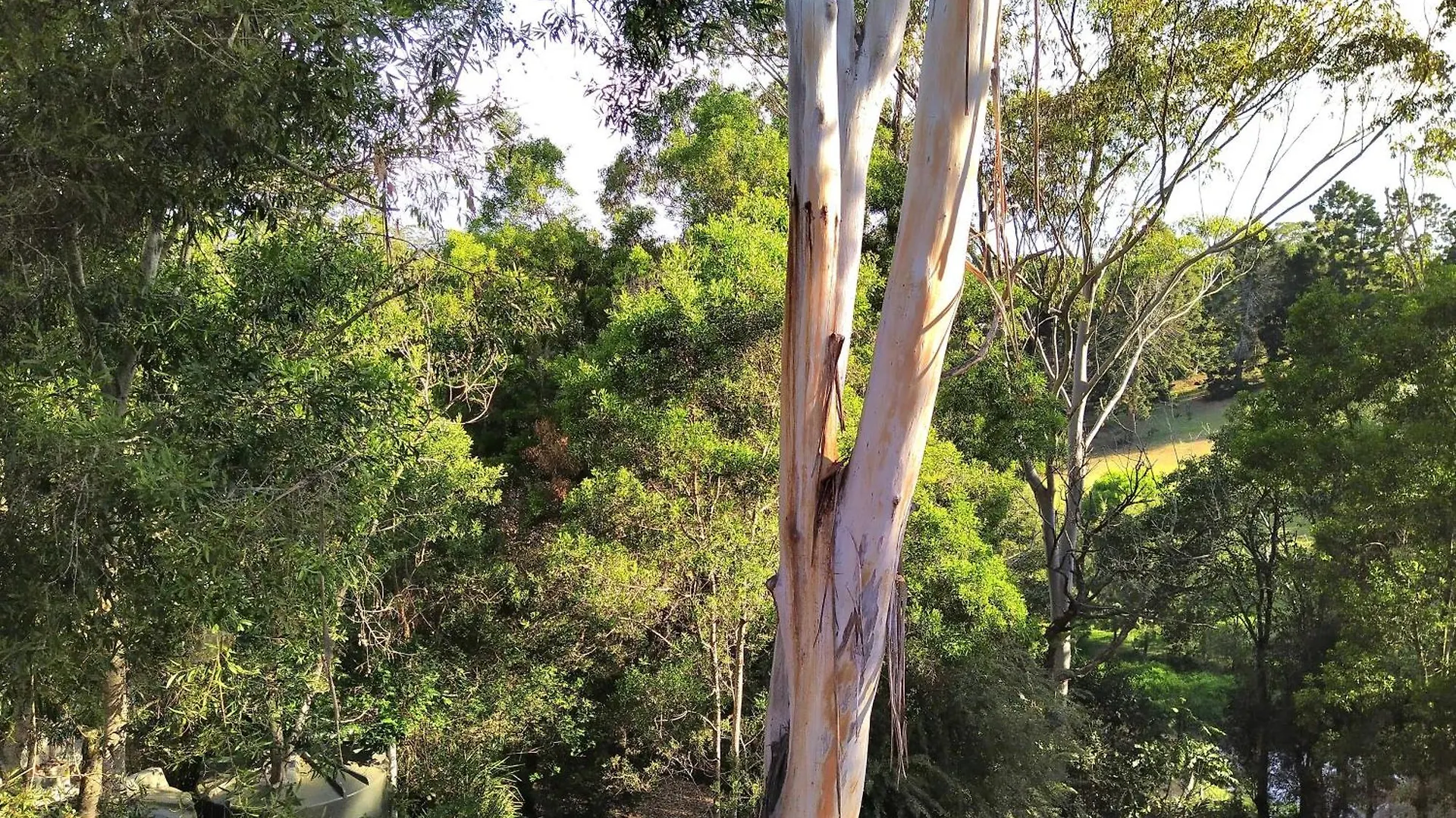 Holiday home Private 3-Bedroom House Nestled High Amongst The Trees Maleny Australia