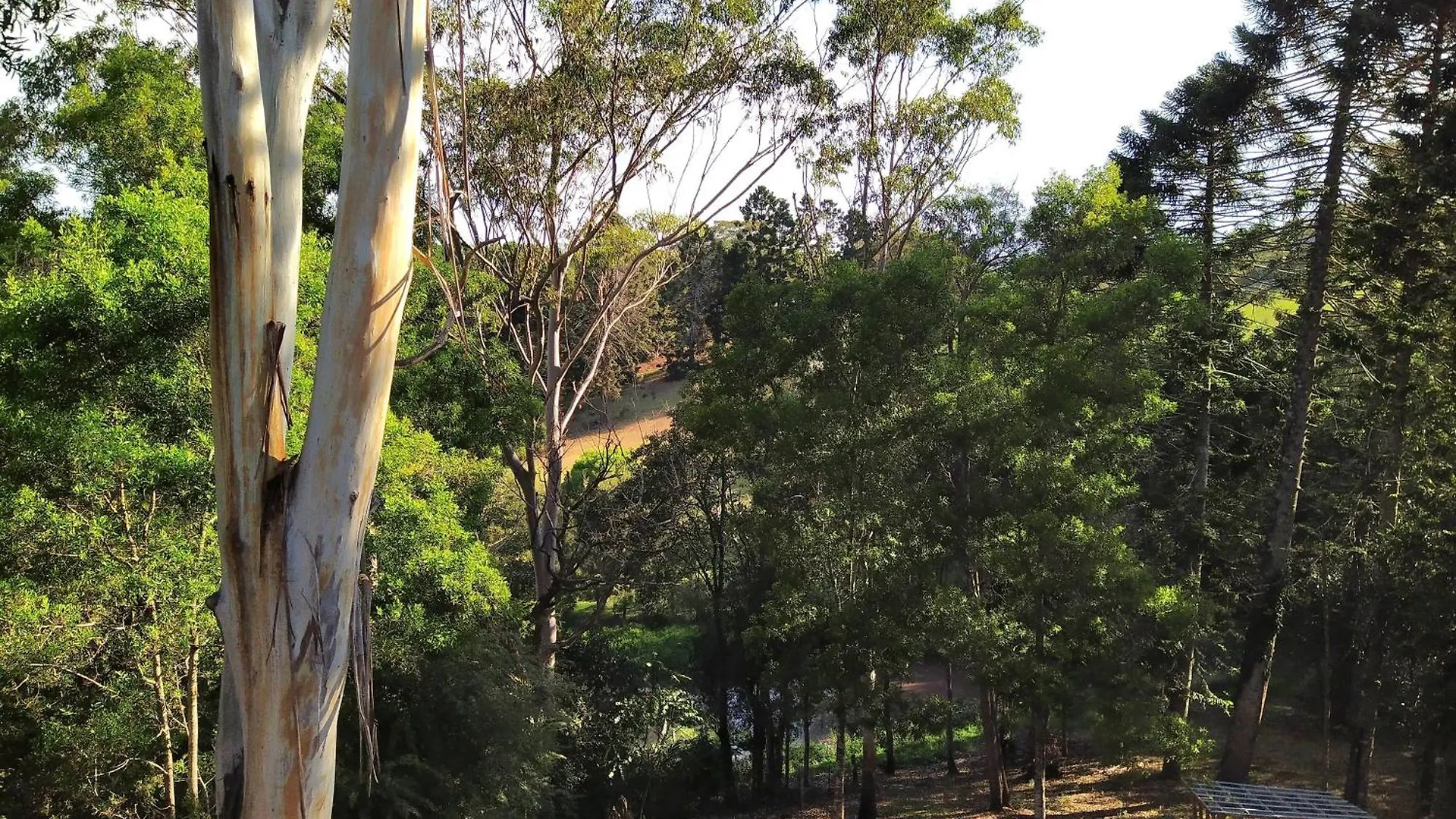 Holiday home Private 3-Bedroom House Nestled High Amongst The Trees Maleny