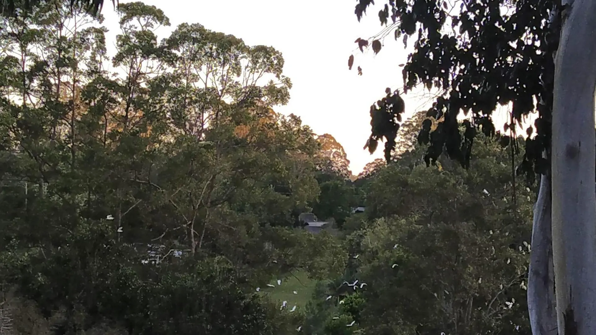 Private 3-Bedroom House Nestled High Amongst The Trees Maleny Austrálie