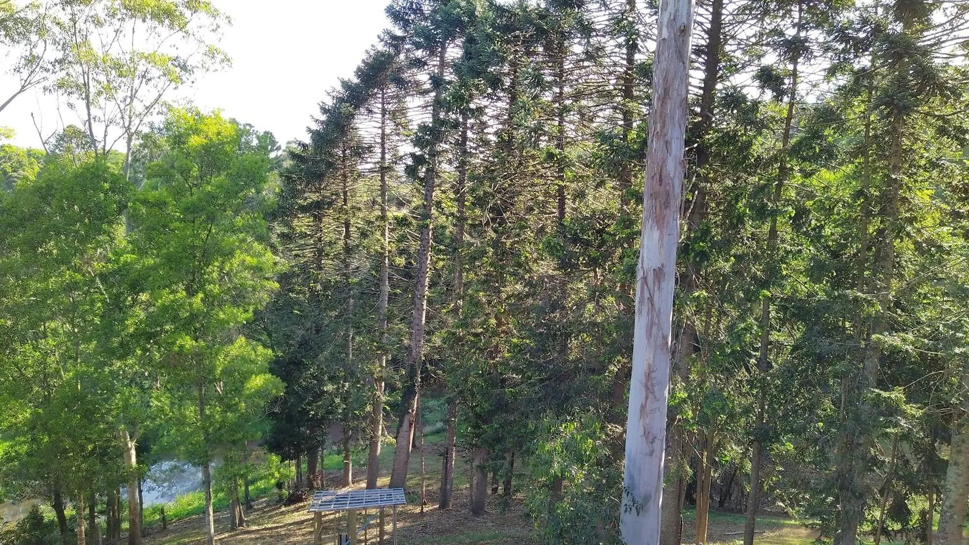 Private 3-Bedroom House Nestled High Amongst The Trees Maleny